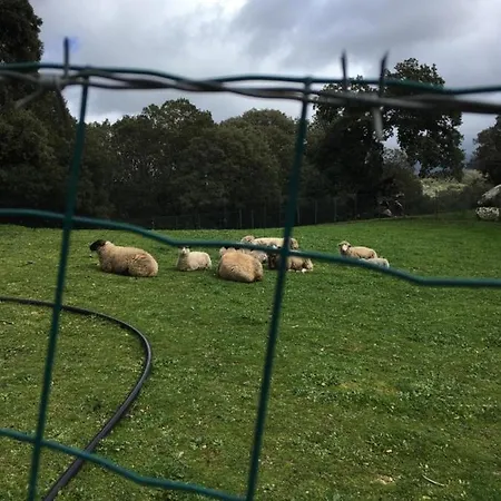 1 Maison De Campagne Petreto-Bicchisano